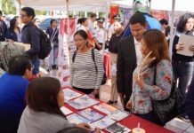 Con 98.1 % de población ocupada, Veracruz fortalece sus indicadores laborales