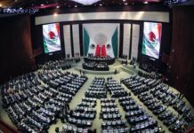 Reforma electoral y alianza / Enrique Yasser Pompeyo