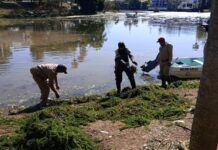 CMAS y ciudadanos sanean lago de Las Ánimas