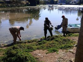 CMAS y ciudadanos sanean lago de Las Ánimas