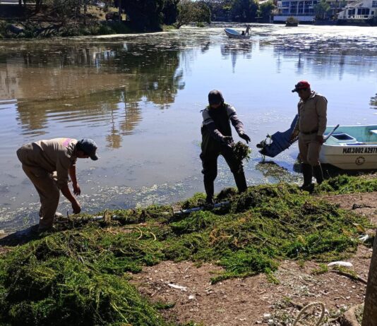 CMAS y ciudadanos sanean lago de Las Ánimas