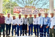Ganaderos de San Rafael enfrentan al gusano barrenador y apuestan por la repoblación del hato