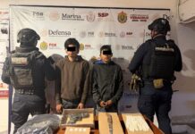 Decomisa SSP cerca de 500 dosis de estupefacientes y detiene a 64 personas, en 41 municipios