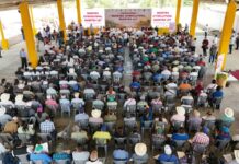 En Álamo, inician foros para nueva Ley de Citricultura