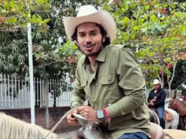 La incongruencia del Verde / Yamiri Rodríguez Madrid