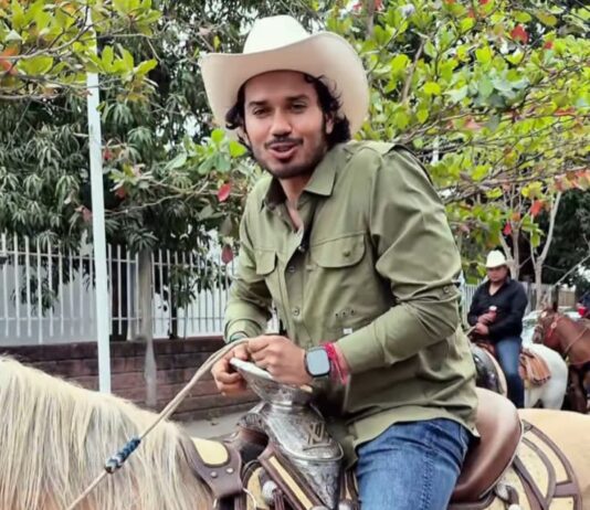 La incongruencia del Verde / Yamiri Rodríguez Madrid