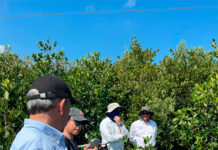 En la UV, institución de Estocolmo conoció métodos de restauración de manglares