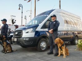 Acciones contra el crimen en Veracruz / Hora cero