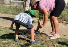Unen ciudadanía y Gobierno de Coatzacoalcos esfuerzos en jornada de reforestación en Santa Martha