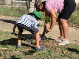 Unen ciudadanía y Gobierno de Coatzacoalcos esfuerzos en jornada de reforestación en Santa Martha