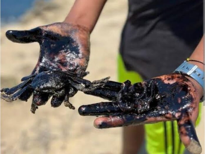 Screenshot_20260203_052624