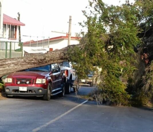 FF37 causa afectaciones en Xalapa; reportan rachas de 77 km/h y cortes de energía