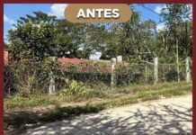 Continúan trabajos permanentes de limpieza y mantenimiento en Tantoyuca: Roberto San Román