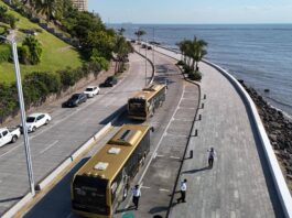 La modernización del transporte público en Veracruz / Hora cero
