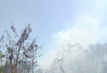 Prevé PC municipal surada con rachas de 40 km/h para este viernes en la ciudad de Veracruz