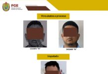 En Papantla y Cardel, FGE obtiene vinculaciones a proceso por privación de la libertad física, homicidio, lesiones y daños culposos, así como una imputación en Veracruz