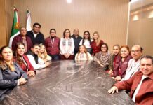 Diputadas y diputados federales de Morena Veracruz y PVEM llaman a la unidad y respaldan a la gobernadora Rocío Nahle