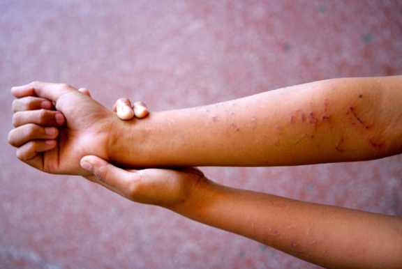 imagen_2026-02-24_210255019