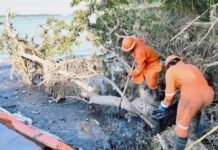 Implementa Pemex acciones por pérdida de contención en ducto cercano a la comunidad El Manantial, Tihuatlán