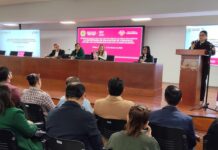 Fortalece SEV la agenda de igualdad sustantiva con visión estratégica