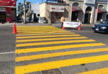 Intensifica Ayuntamiento de Veracruz obras de mantenimiento urbano en la ciudad