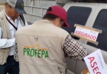 Profepa coordina multi operativo forestal en Veracruz