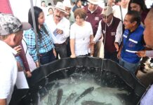 Acerca Ayuntamiento de Veracruz insumos y oportunidades a productores agropecuarios