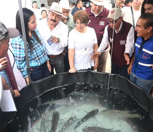 Acerca Ayuntamiento de Veracruz insumos y oportunidades a productores agropecuarios