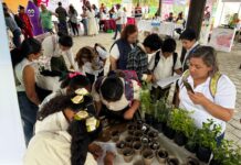 Eco Jornadas LTH regresan a Cumbre Tajín 2026