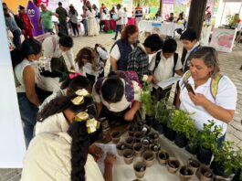 Eco Jornadas LTH regresan a Cumbre Tajín 2026