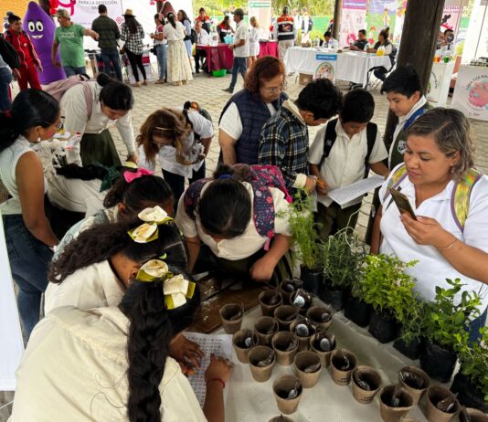 Eco Jornadas LTH regresan a Cumbre Tajín 2026