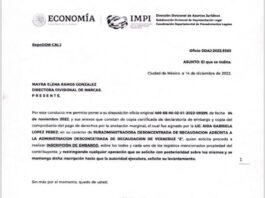 Fidel Kuri y el espejismo de los Tiburones / Yamiri Rodríguez Madrid