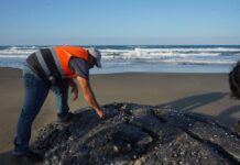 Pajapan y el desastre ambiental / Yamiri Rodríguez Madrid