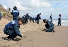Grupo Interinstitucional actualiza avances y refuerza acciones integrales ante presencia de hidrocarburos en costas del Golfo de México