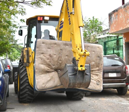 Veracruz, Ayuntamiento precavido / Yamiri Rodríguez Madrid