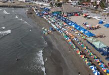 Vacaciones a la veracruzana / Yamiri Rodríguez Madrid