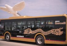 Gobernadora pone en operación 60 unidades Quetzalli; servicio será gratuito en Semana Santa