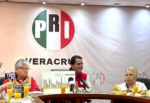 Las ternuritas del Fofo / Yamiri Rodríguez Madrid