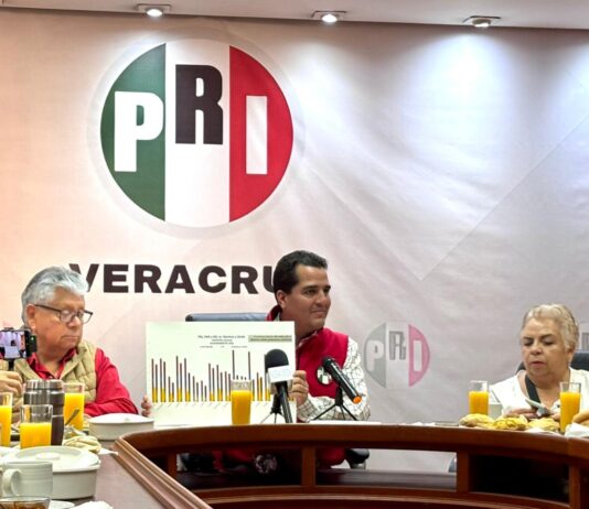 Las ternuritas del Fofo / Yamiri Rodríguez Madrid