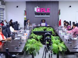 Lo que viene para el OPLE Veracruz / Yamiri Rodríguez Madrid