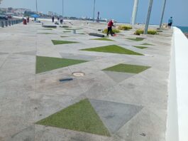 Embellece Ayuntamiento de Veracruz el bulevar Ávila Camacho