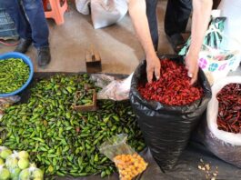 Chile seco representa un sistema biocultural: UV