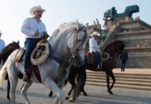 La desinformación de la yegua que se tumbó en Coatza / ColumnaSinNombre
