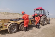 Gobierno de México concluye contención de hidrocarburos en el mar y avanza en limpieza de playas del Golfo de México