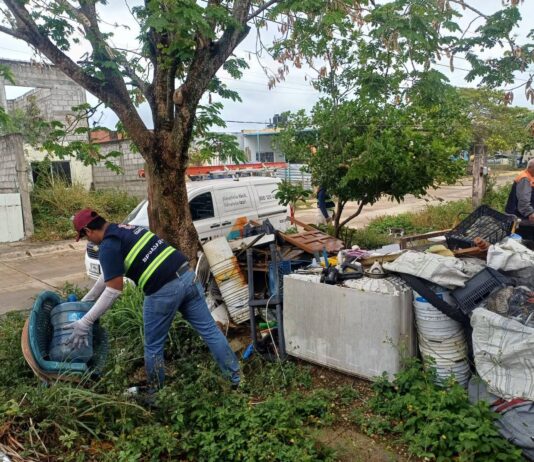 Retiran 49 toneladas de desechos en Segunda Jornada de Eliminación de Criaderos en Coatzacoalcos