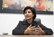 Urgente y necesario elevar el Instituto Veracruzano de las Mujeres a Secretaría: Elízabeth Morales