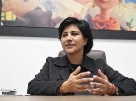 Urgente y necesario elevar el Instituto Veracruzano de las Mujeres a Secretaría: Elízabeth Morales