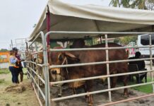 Asisten mil productores a la Primera Feria Agronómica del Pueblo 2026 en Delfino Victoria