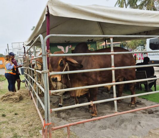 Asisten mil productores a la Primera Feria Agronómica del Pueblo 2026 en Delfino Victoria