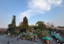 Anuncian en Coatepec programa de condonación de multas en impuesto predial